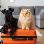 paradores que admiten mascotas2