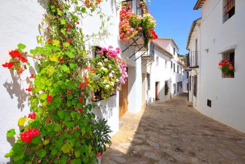 hoteles en conil; excursion por los pueblos blanos